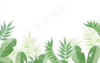 树叶背景图片