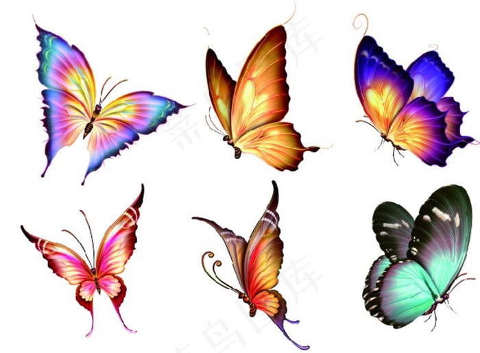 蝴蝶元素图片