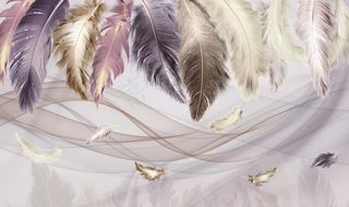 羽毛背景墙图片