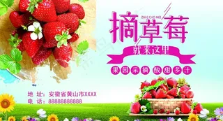 摘草莓图片