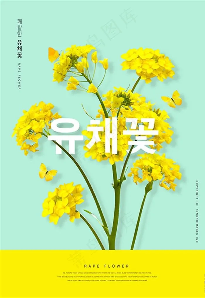 韩系油菜花海报图片(3555X4942(DPI:300))psd模版下载
