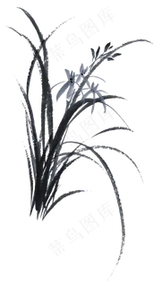 水墨兰花图片