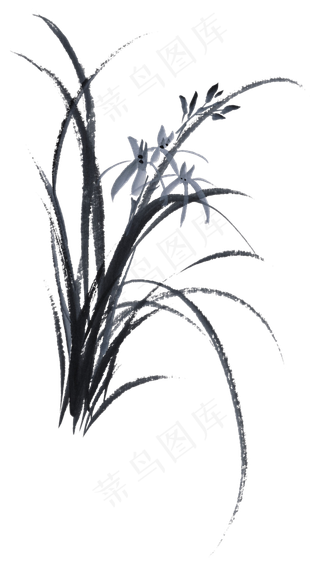 水墨兰花图片