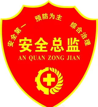
                    安全总监袖标图片
            