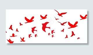 和平鸽集合图片