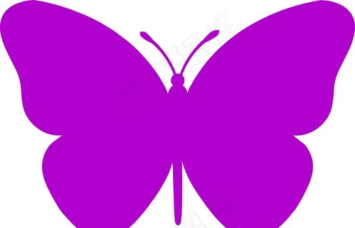 蝴蝶图片