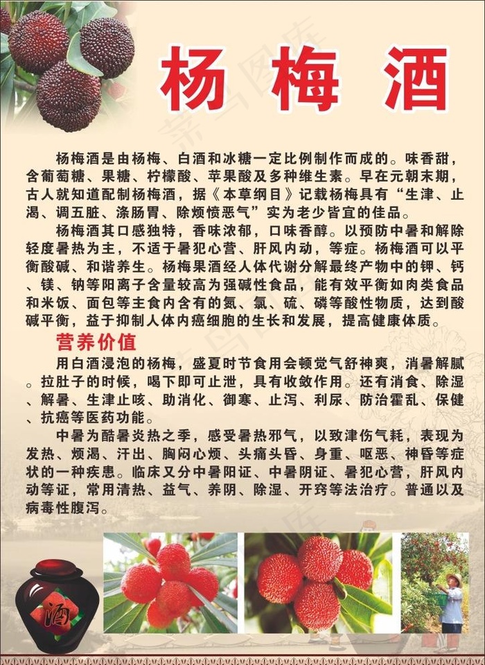 杨梅酒海报图片cdr矢量模版下载