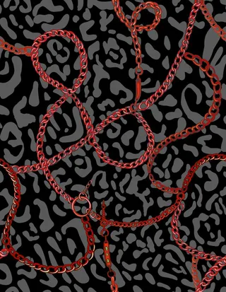 豹纹链条女装花图片