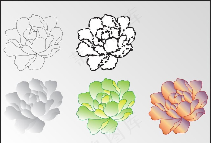 牡丹花纹样传统花朵纹图片