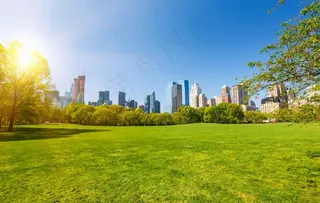 公园 绿色 生态 城市图片