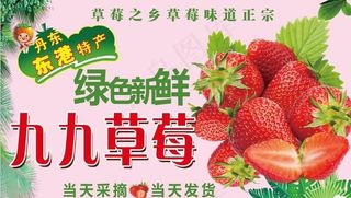 九九草莓图片