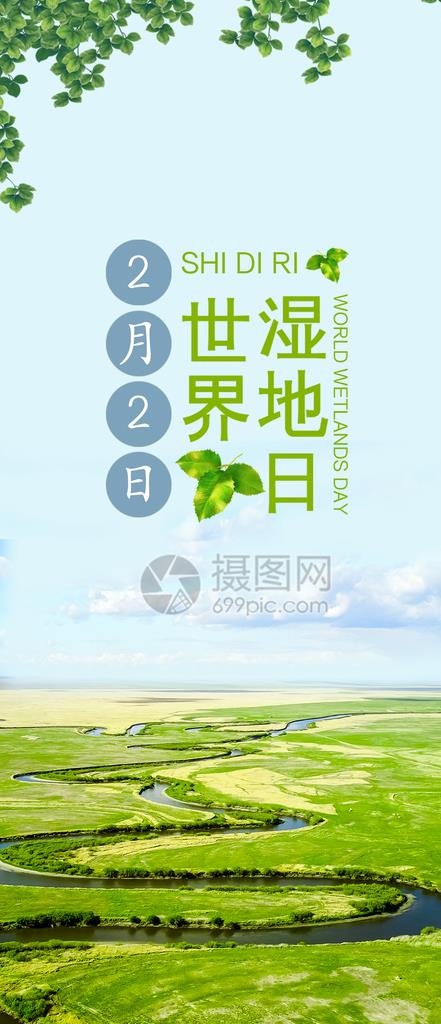 湿地日  湿地旅游 湿地公园图片(1125X2436(DPI:150))psd模版下载