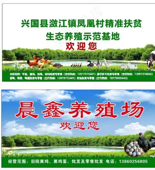 生态牧场 养殖场  养殖广告图片