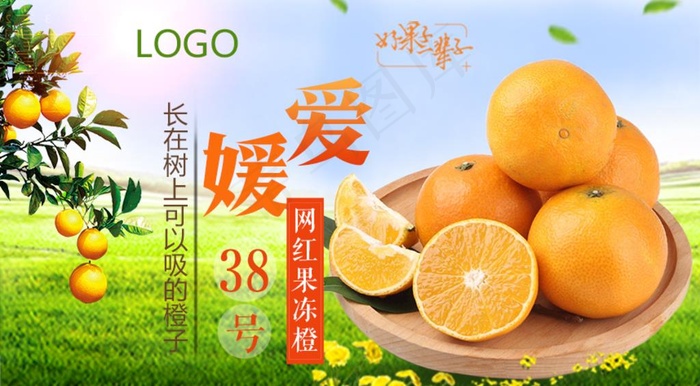 爱媛38号banner图图片(858X500(DPI:300))psd模版下载