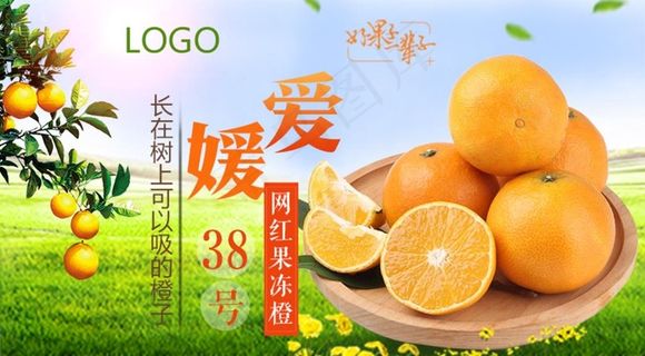 爱媛38号banner图图片