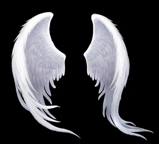 天使的翅膀图片