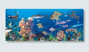 海洋 背景图片