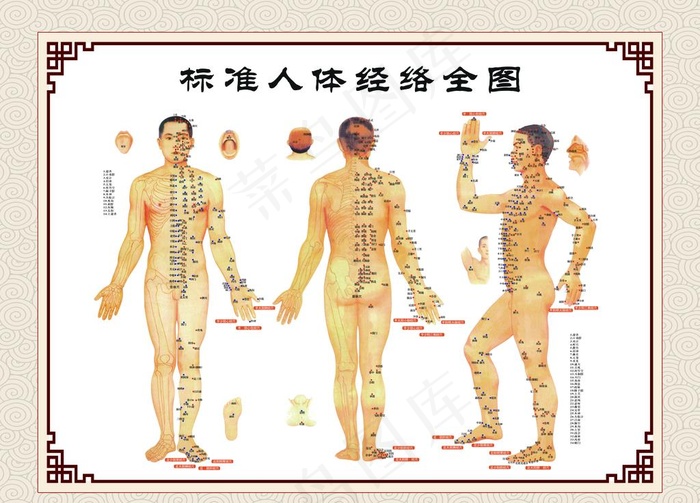 人体经络全图 中医图片