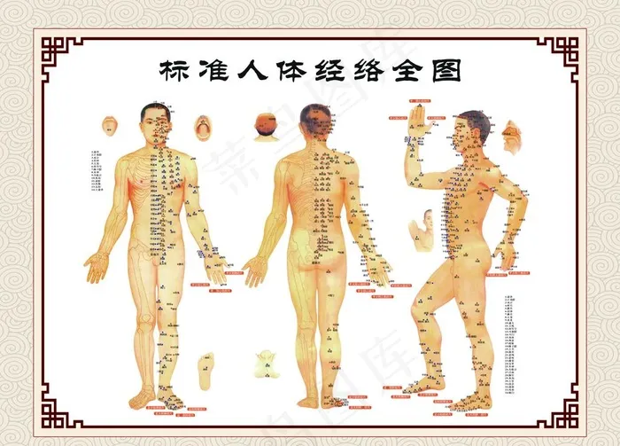 人体经络全图 中医图片(5669X4252(DPI:90))psd模版下载