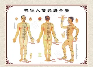 人体经络全图 中医图片