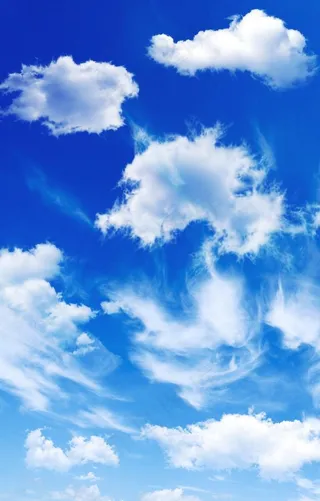 吊顶天花软膜图片