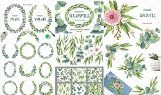 尤加利叶树叶绿叶小花水彩画图片