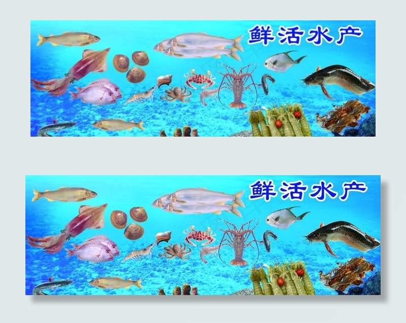水产海报图片(6063X2232(DPI:70))psd模版下载