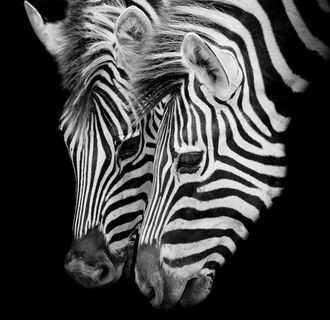 客厅装饰画图片