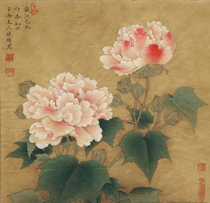芙蓉牡丹花工笔画图片