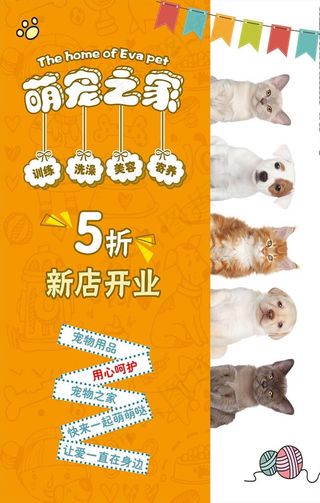 宠物海报图片