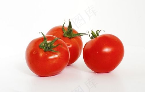 番茄图片