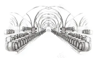 酒窖橡木桶葡萄酒图片