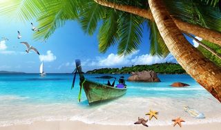 大海椰子树图片