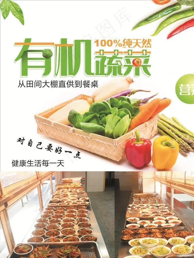 有机蔬菜图片(210X297)cdr矢量模版下载