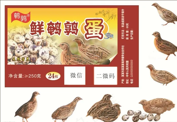 鲜鹌鹑蛋图片cdr矢量模版下载