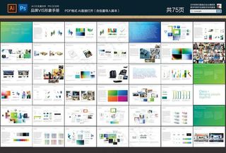 企业品牌形象VIS手册图片