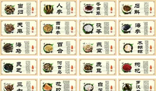 名贵中药展板图片