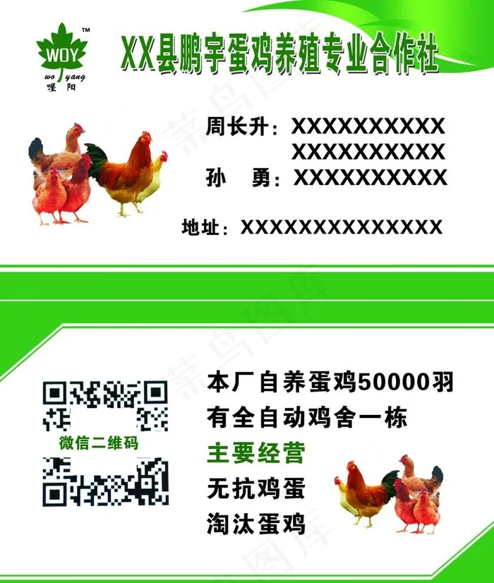 蛋鸡养殖绿色名片图片psd模版下载
