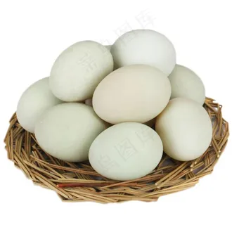 鸭蛋免抠图图片
