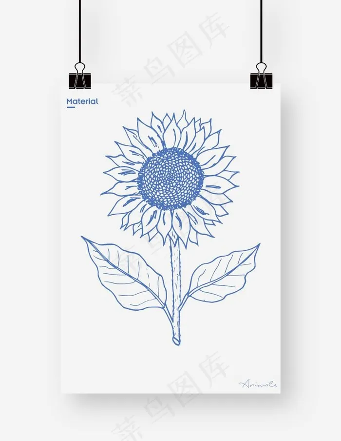 向日葵图片ai矢量模版下载