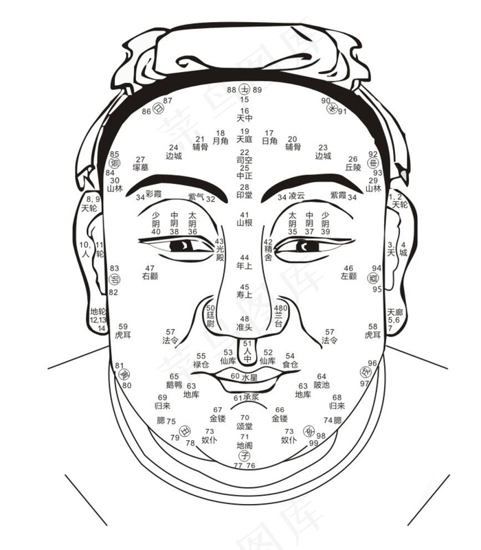 面相矢量图图片