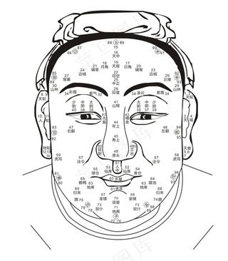面相矢量图图片