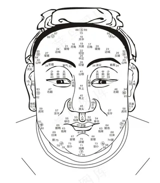 面相矢量图图片