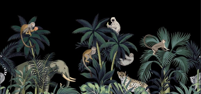 热带植物图片