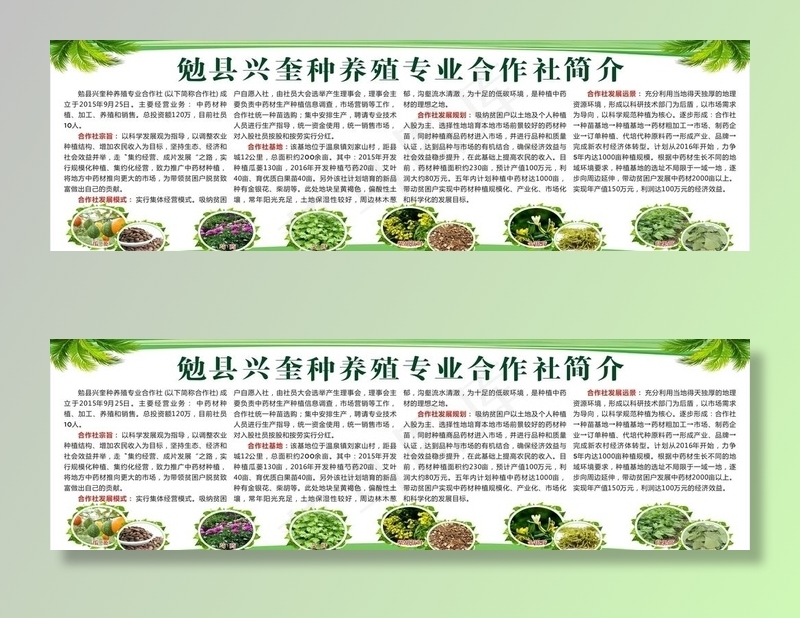种养植合作社图片cdr矢量模版下载