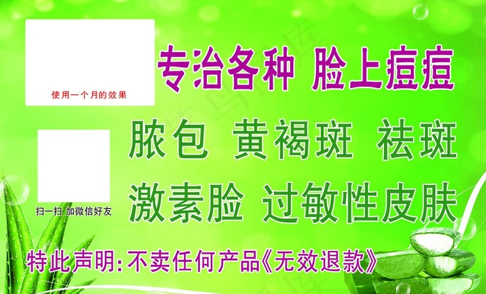 芦荟图片
