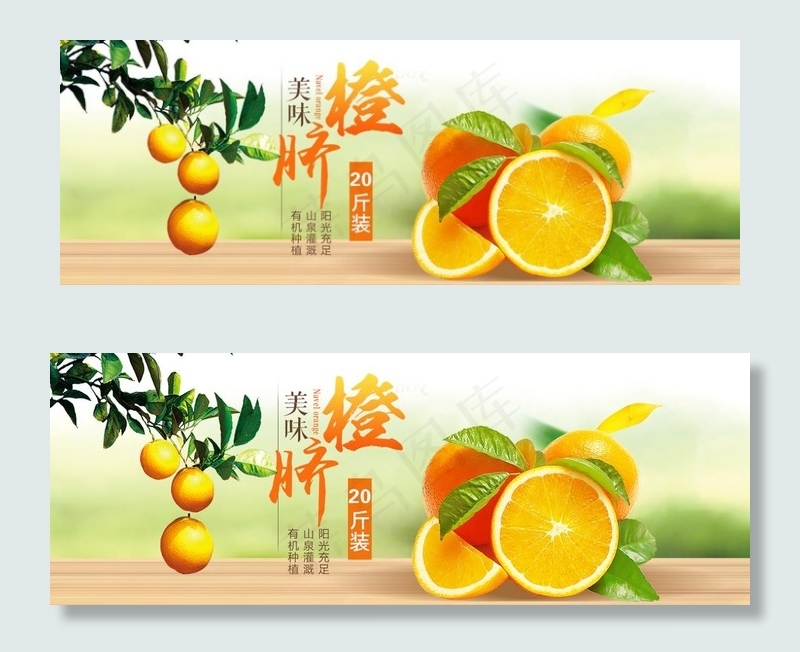 banner  橙子 脐橙图片