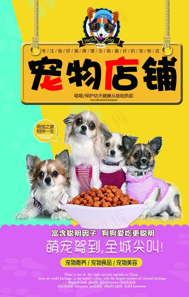 宠物店海报图片
