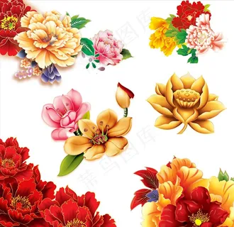 牡丹图片 牡丹图片