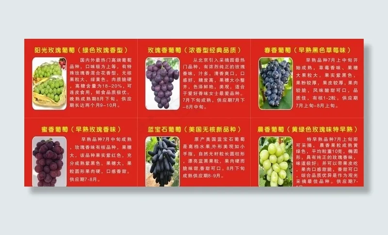 葡萄品种图片cdr矢量模版下载